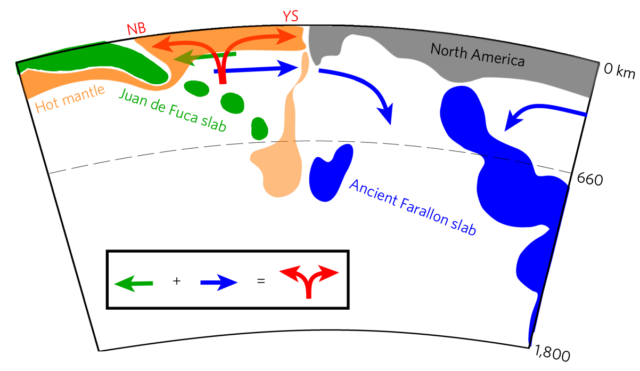 A schematic drawing of a cross-section beneath western North America. The Juan de Fuca slab is the oceanic plate currently subducting beneath the Pacific Northwest. The location of Yellowstone is marked with "YS," and the Newberry eruptions in Oregon with "NB."