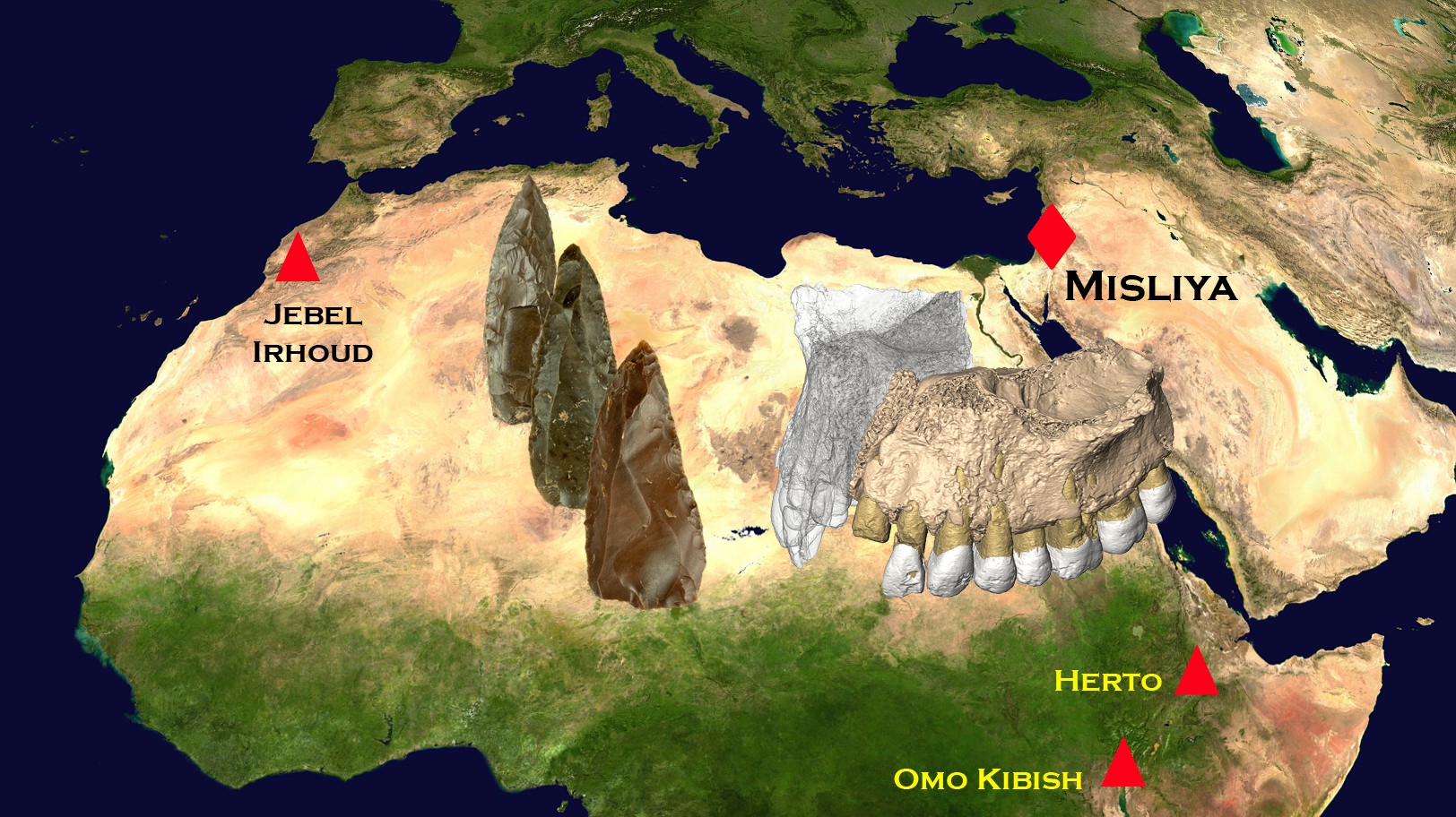 A map of the Misliya sites relative to other key discoveries. 