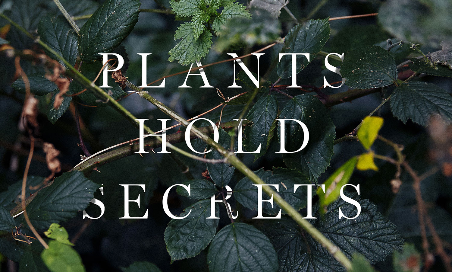 Mark Spencer forensic botanist