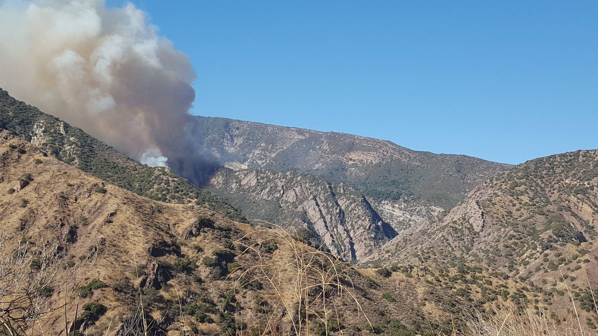The Thomas Fire burning near condor chick #871’s nest in Los Padres National Forest on December 14, 2017.