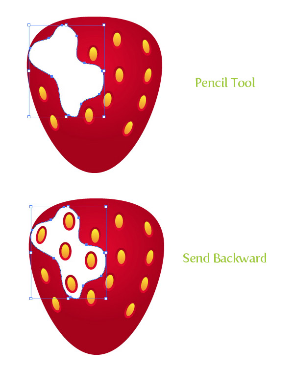 Step 12 chocolate covered strawberry vector
