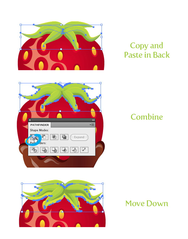 Step 29 chocolate covered strawberry vector