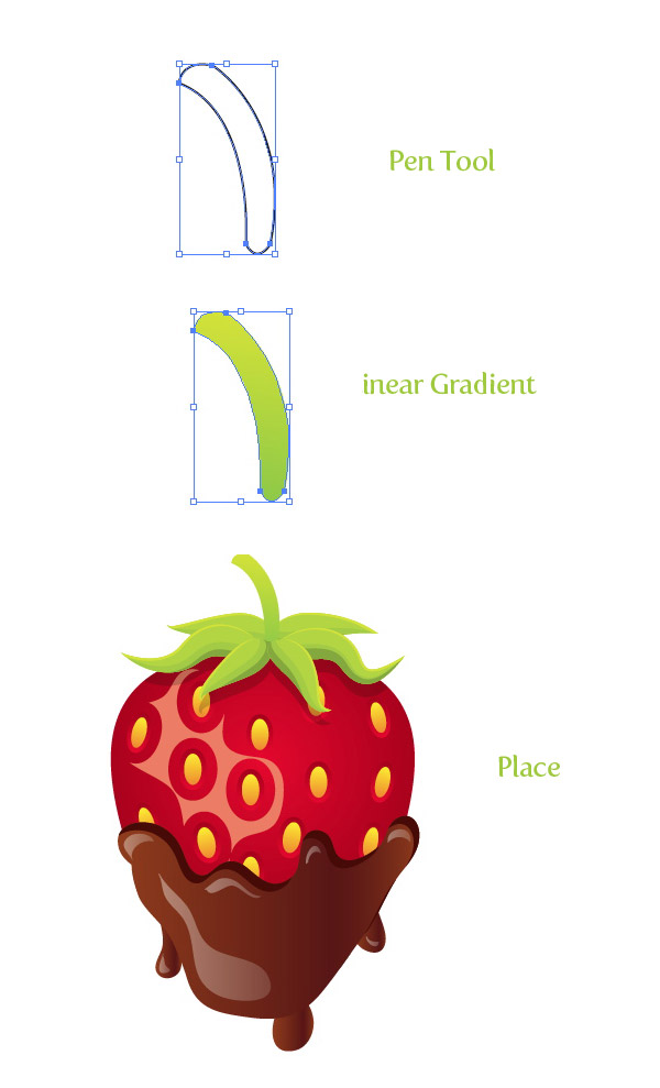 Step 31 chocolate covered strawberry vector