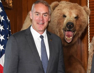 "How could I shoot this bear if a solar array were on its land?"