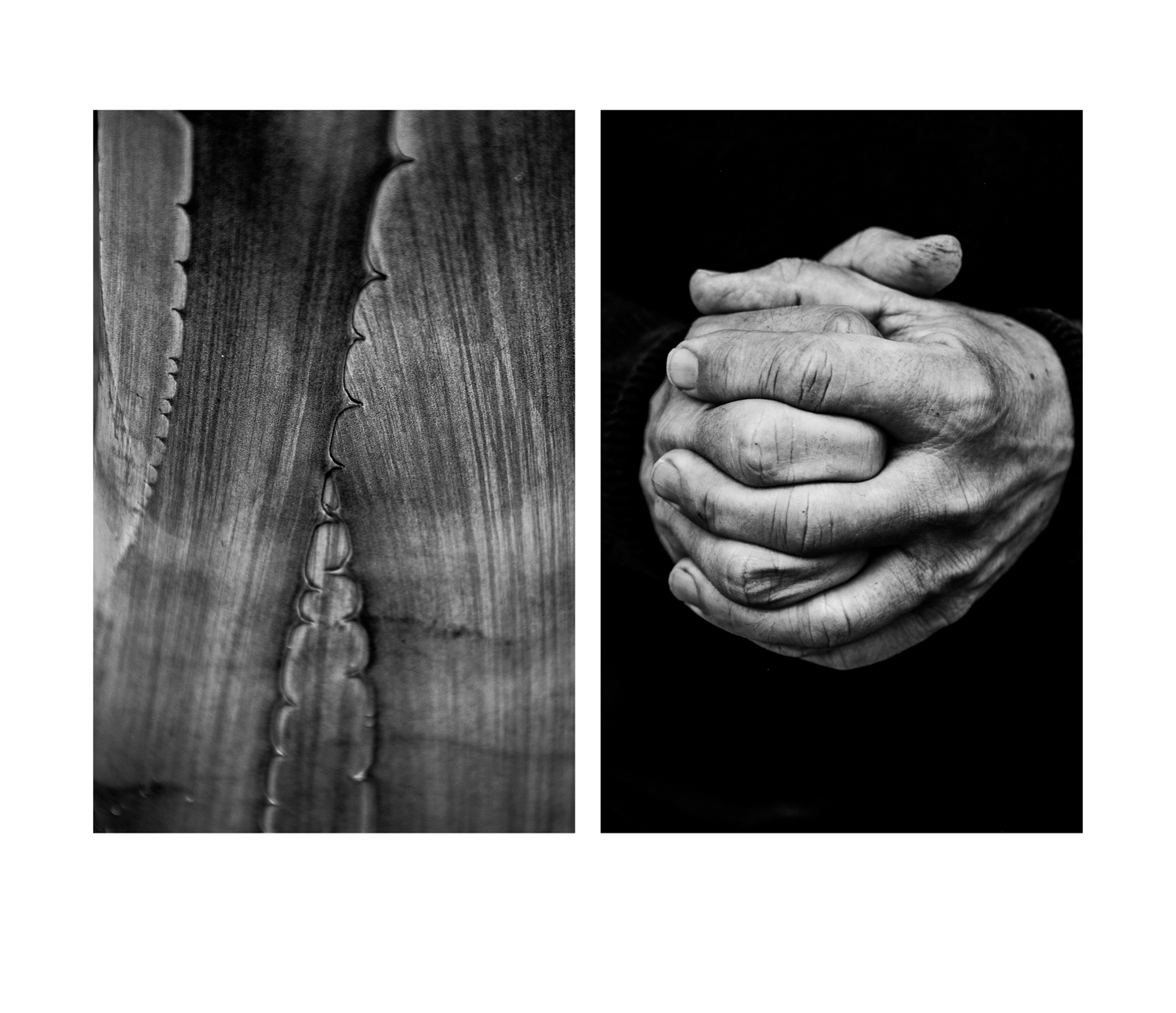 diptychs
