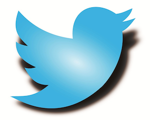 Twitter patches new privacy bug