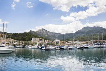 google search console for small businesses