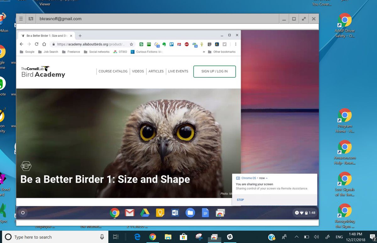 Chrome Remote Desktop sharing screen