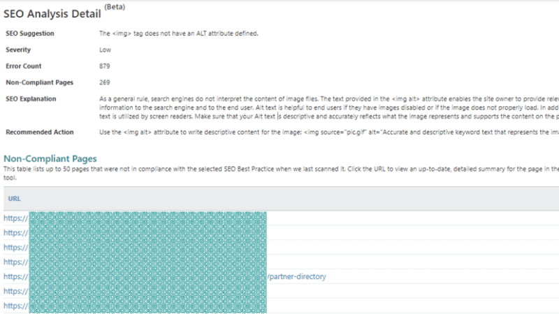 SEO analysis detail