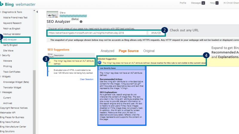 SEO Analyzer