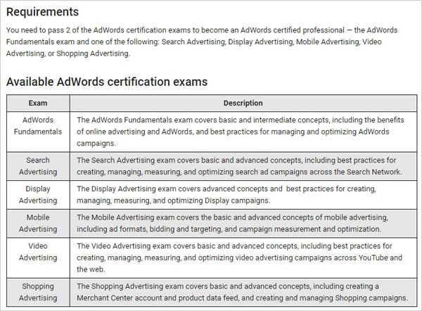 PPC Consultant