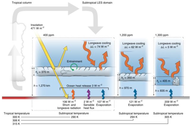 Processes responsible for the cloud deck breaking up around 1,200 ppm CO2 in the model. Temperatures shown in units of kelvins.