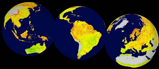 A global snapshot of the Vegetation Sensitivity Index (VSI) from 2016. The VSI measures environmental sensitivity to a changing climate, using satellite data gathered between 2000-2013 at 5km resolution. Areas in green are covered in vegetation that is the least sensitive to changes. Areas in red show the highest sensitivity. Grey areas are barren land or ice covered. Water is blue. 