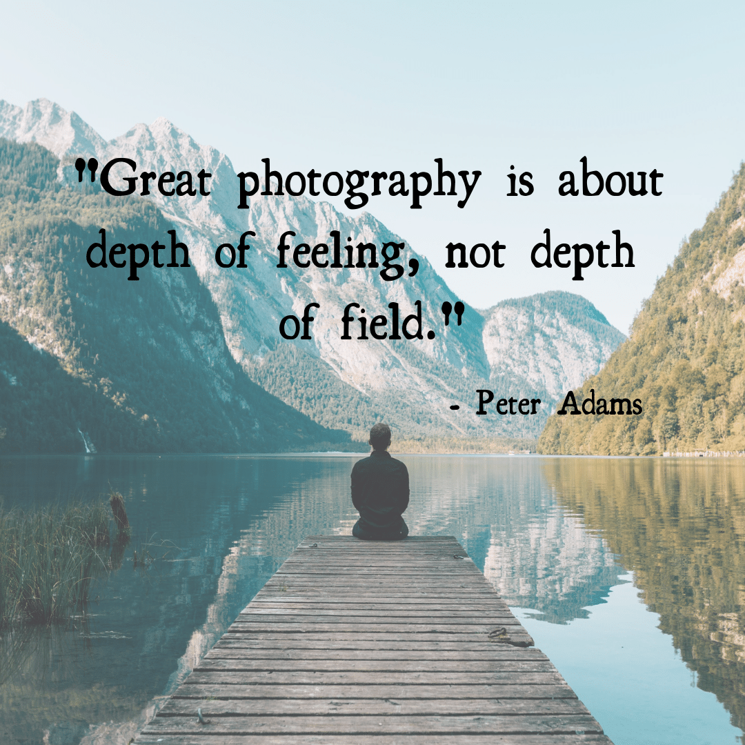 Peter Adams quote