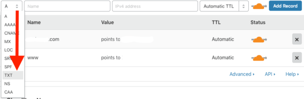 Cloudflare DNS TXT Record Option