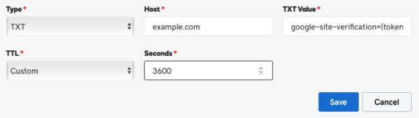 GoDaddy DNS TXT Record Form