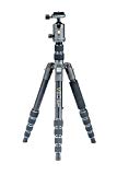 Vanguard VEO2GO235AB Aluminum Travel Tripod with Ball Head for Sony, Nikon, Canon, Fujifilm Mirrorless, Compact System Camera (CSC), DSLR