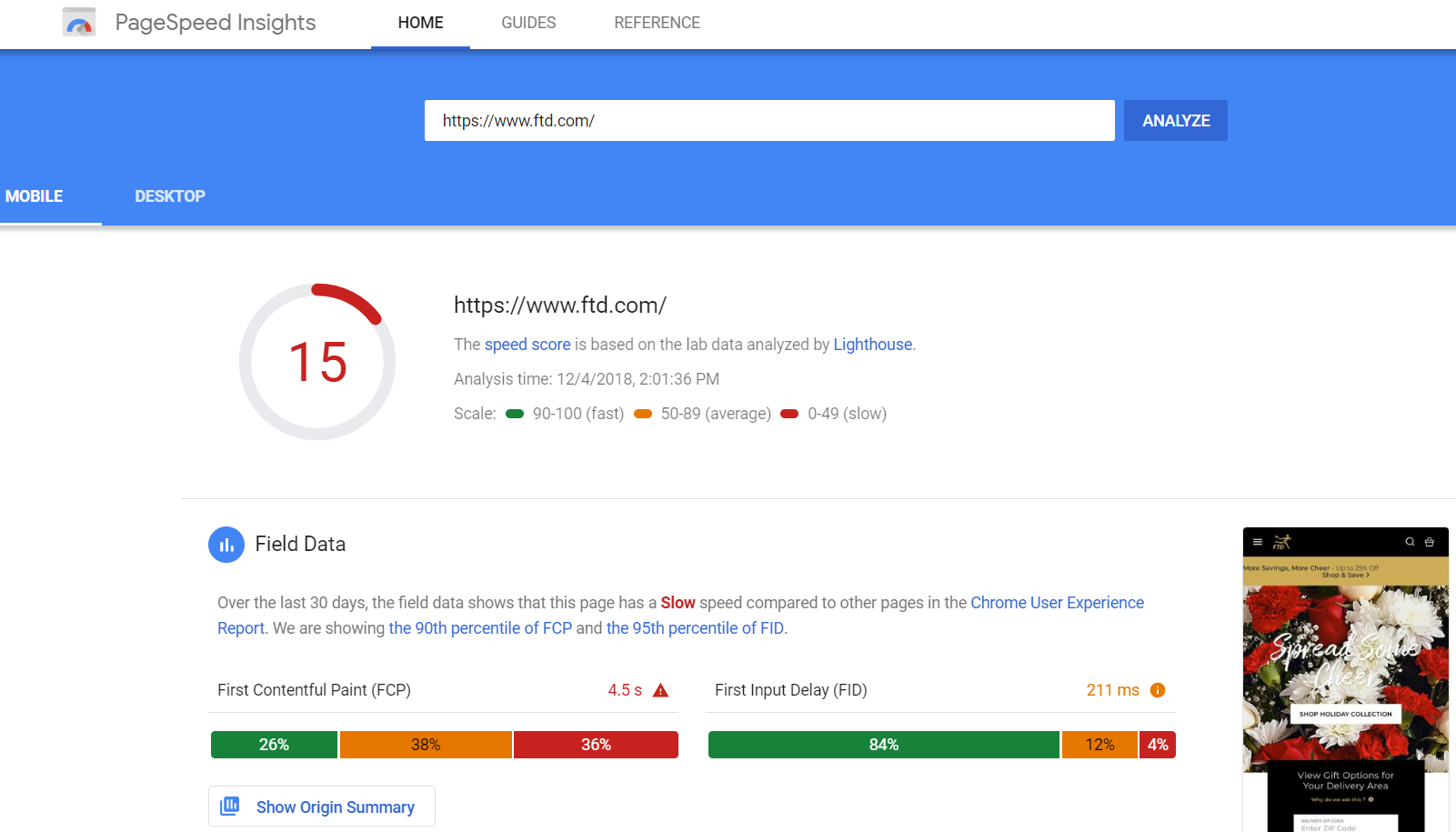 Screenshot of PageSpeed Insights - mobile