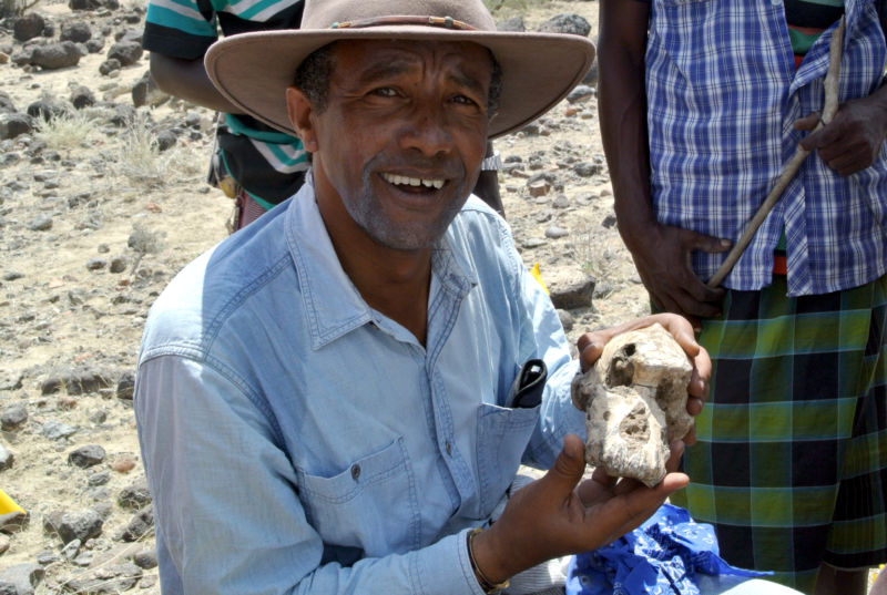 Color photo of a paleoanthropologist in a hat holding a fossil Australopithecine skull