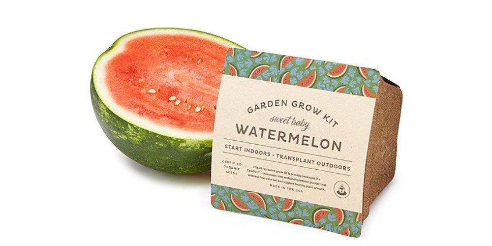Baby Watermelon Grow Kit