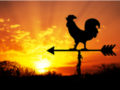 Four initiatives B2Bs must tackle now to win in 2020
