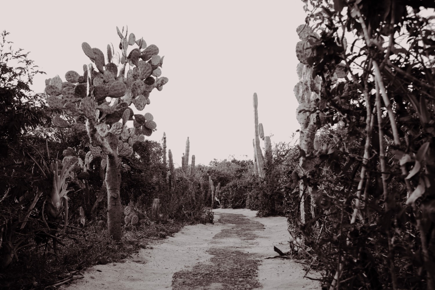 The Underground Sculpture Park