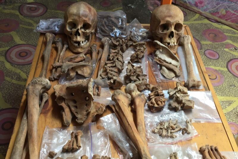 Skeletal remains from a husband/wife burial (wife is on the left). Airagiin Gozgor site, Orkhon Province, Mongolia.