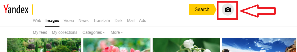 search images on Yandex