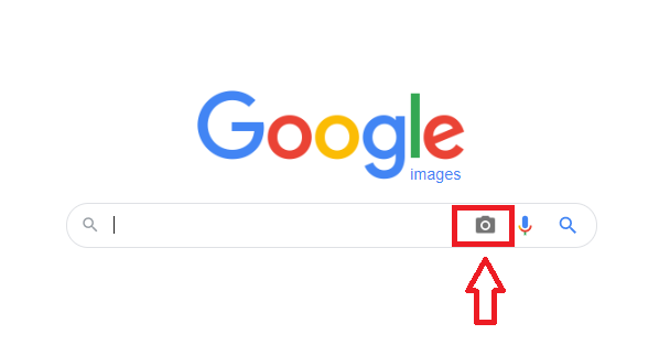 Google image search