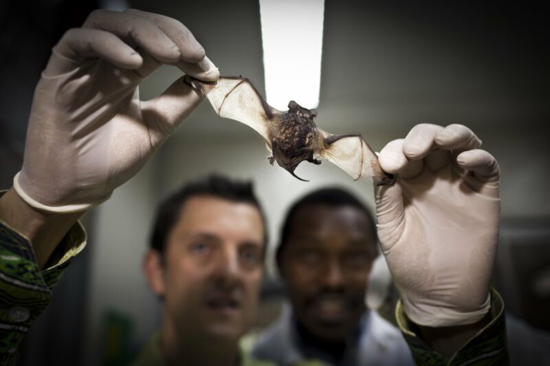 Image of a person holding a small bat.