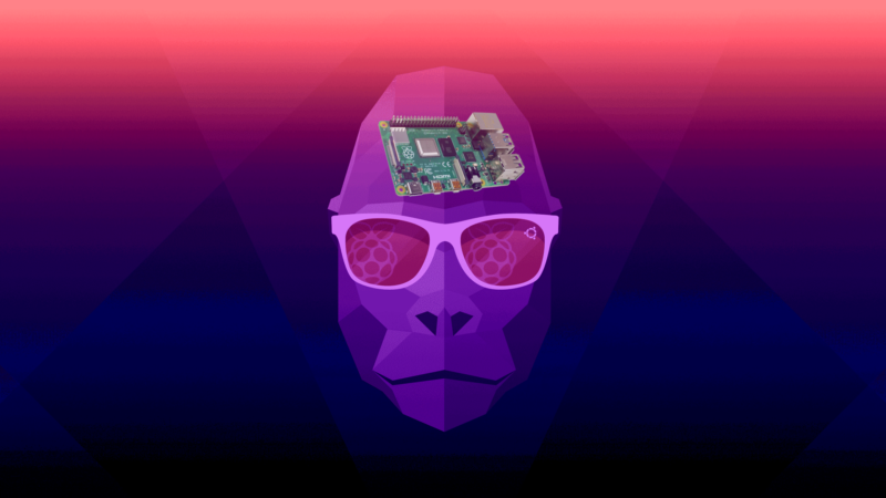 This Groovy Gorilla doesn't just have a Raspberry Pi 4 on his mind, he's got a Raspberry Pi 4 <em>as</em> his mind.