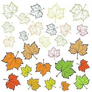 Leaf thanksgiving vector