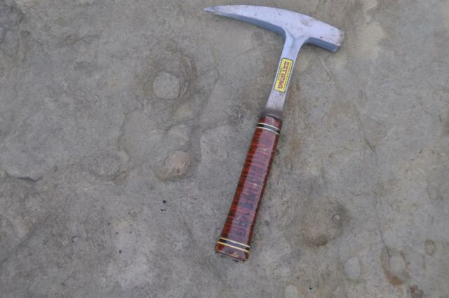 A view looking down into the trace fossil of a burrow.