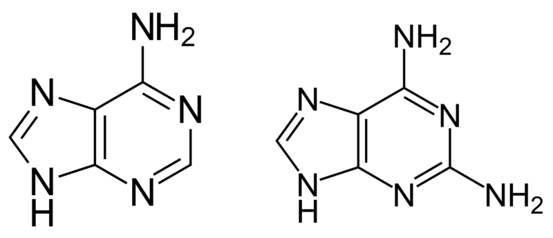 Image of two chemical structures.