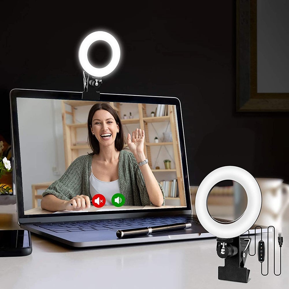 Best Value: Cyezcor Video Conference Lighting Kit ($22)