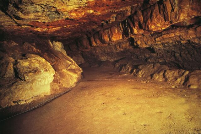 Upper Paleolithic cave paintings in Altamira Cave, Spain. 