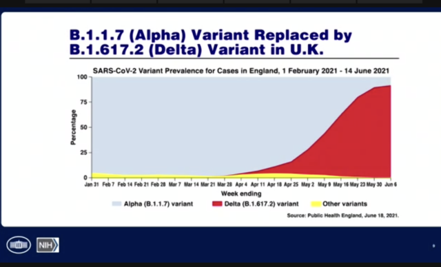 Graph showing rise of Delta variant in the UK.