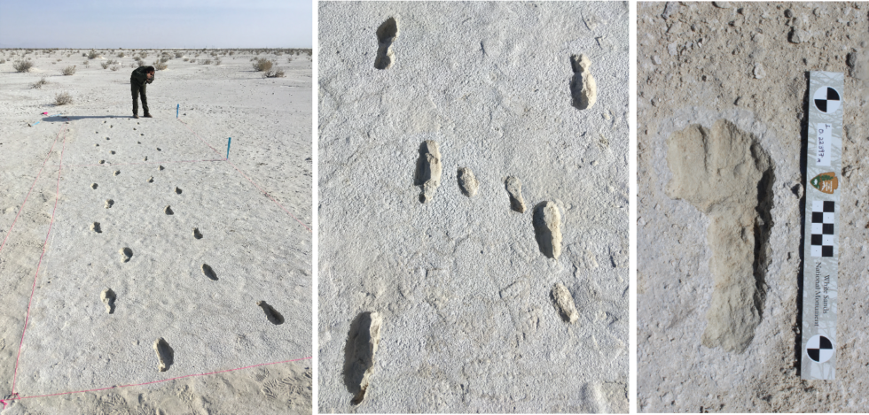 Fossilized human footprints at White Sands.