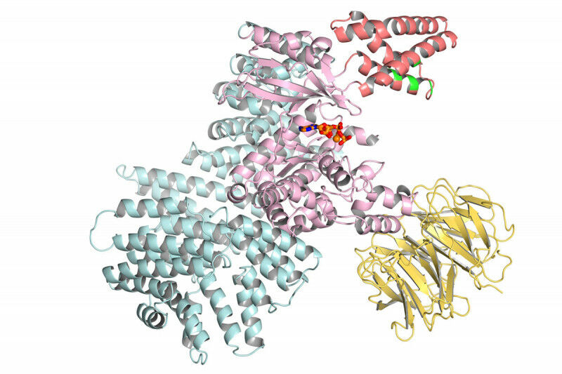 Image of a diagram of ribbons and coils.