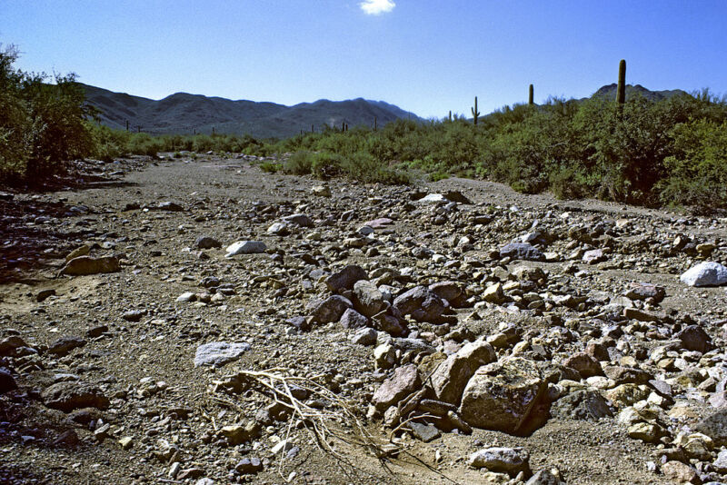 Image of a waterless stream bed.