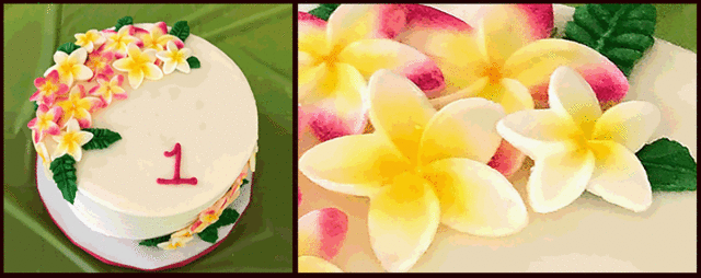 Birthday cake with icing flowers tinted with primrose petal dust used for cake decorating—Missouri, 2019.