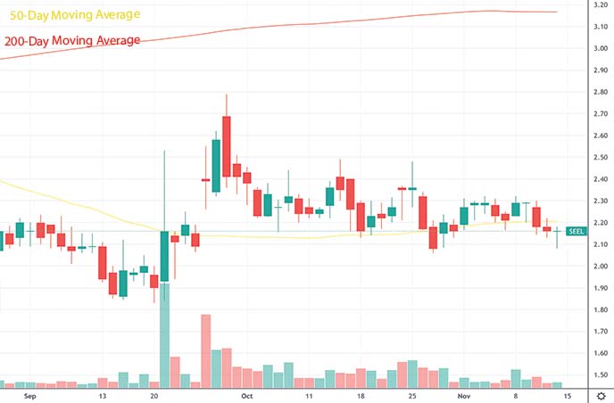 best penny stocks to buy this week Seelos Therapeutics SEEL stock chart