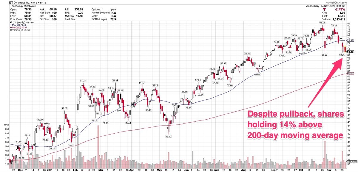 Will Dynatraces Pullback Set The Stage For More Gains?