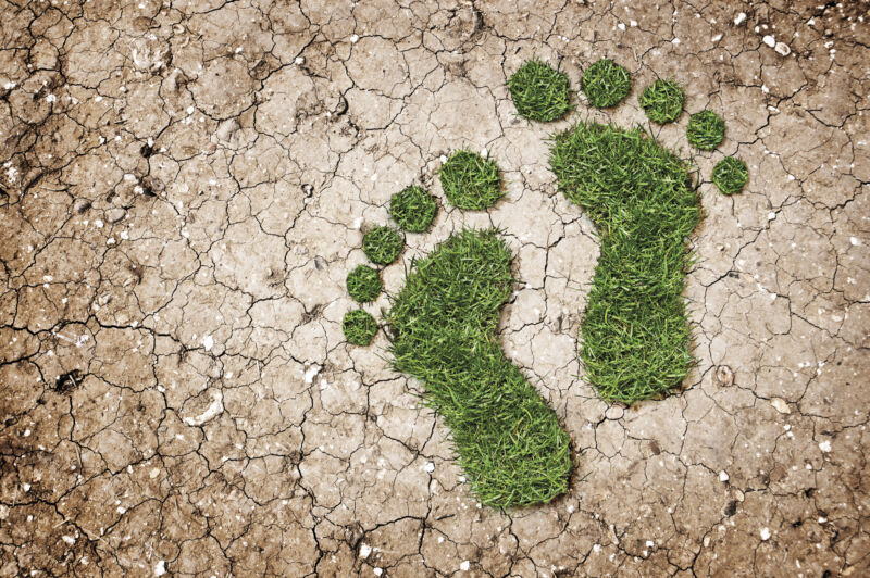 Cartoonish footprints on dried mud.