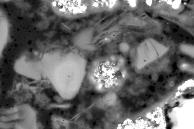Scanning electron microscope image of the tomb mortar.