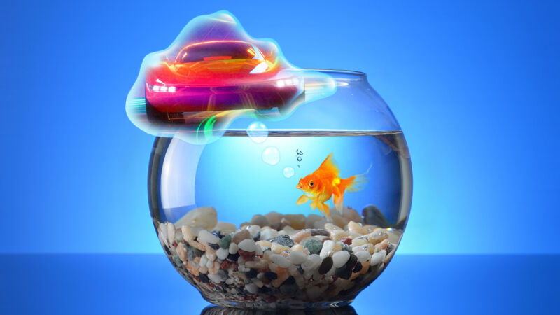 A photoshopped image shows a goldfish dreaming of a sports car.