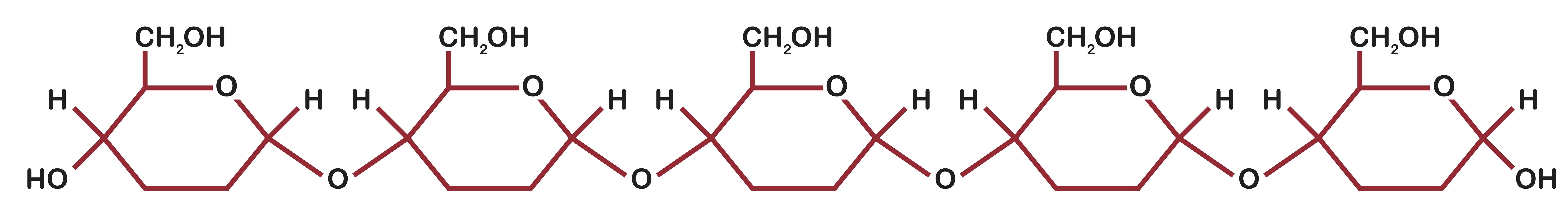 molecular diagram of chain of glucoses together