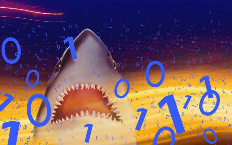 Fanciful illustration of a shark attacking ones and zeroes.