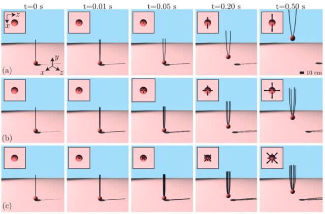 The ballooning process as described in a new 3D numerical simulation for a spider using (a) two threads, (b) four threads, and (c) eight threads.