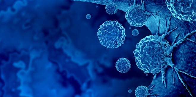 Harpoon Therapeutics Remains Volatile After Promising News